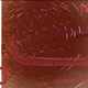 Image for article titled Think Norway’s new bank notes are cool? You should see the ones they rejected